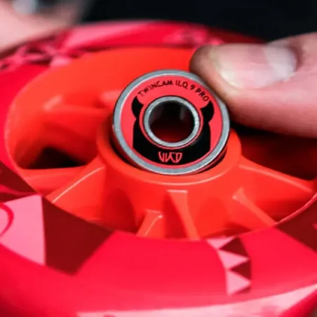 Manutenzione Cuscinetti